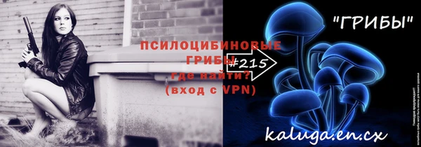 прущая мука Богородск
