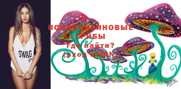 прущая мука Богородск