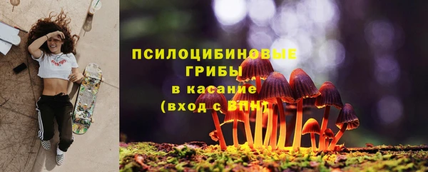Альфа ПВП Богородицк