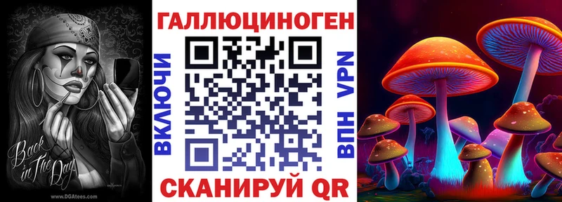 Псилоцибиновые грибы Psilocybine cubensis где найти Павловск